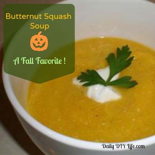Butternut Squash Soup - A Fall Favorite - Daily DIY Life.com