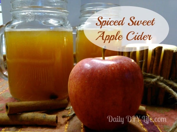 Spiced Sweet Apple Cider - Daily DIY Life.com