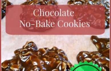 Chocolate NO Bake Cookie - Dailydiylife.com