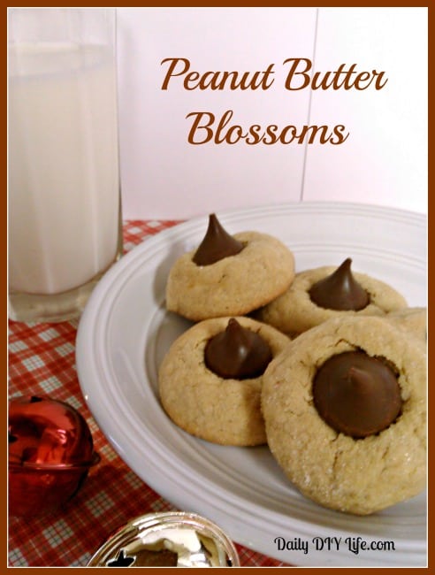 Christmas Cookies: Peanut Butter Blossoms - Daily DIY Life.com