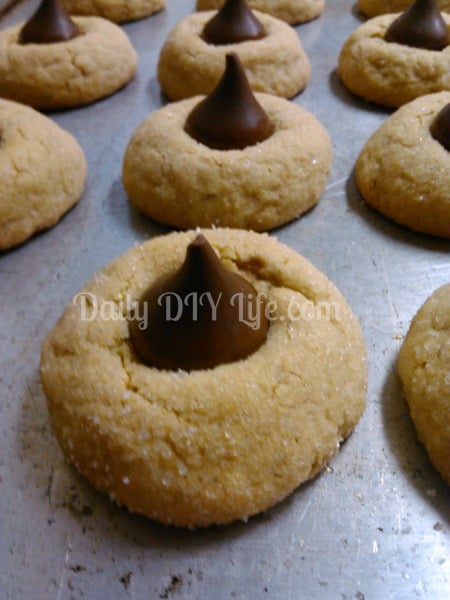 Christmas Cookies: Peanut Butter Blossoms - Daily DIY Life.com