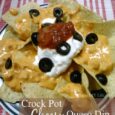 The Best Crockpot Cheesy Queso Dip! DailyDIYLife.com