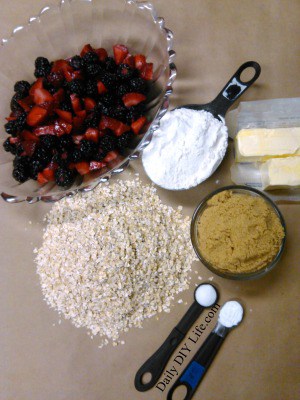 Strawberry Blackberry Oatmeal Crumble Recipe - DailyDIY Life.com