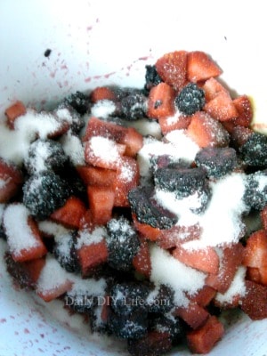 Strawberry Blackberry Oatmeal Crumble Recipe - DailyDIY Life.com