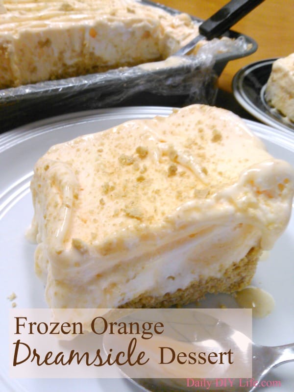 Frozen Orange Dreamsicle Dessert! A Refreshing Summer Treat! |DailyDIYLife.com