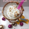Creamy Butterfinger Cocktail recipe. Perfect when you are wanting an adult sweet treat! | DailyDIYLife.com