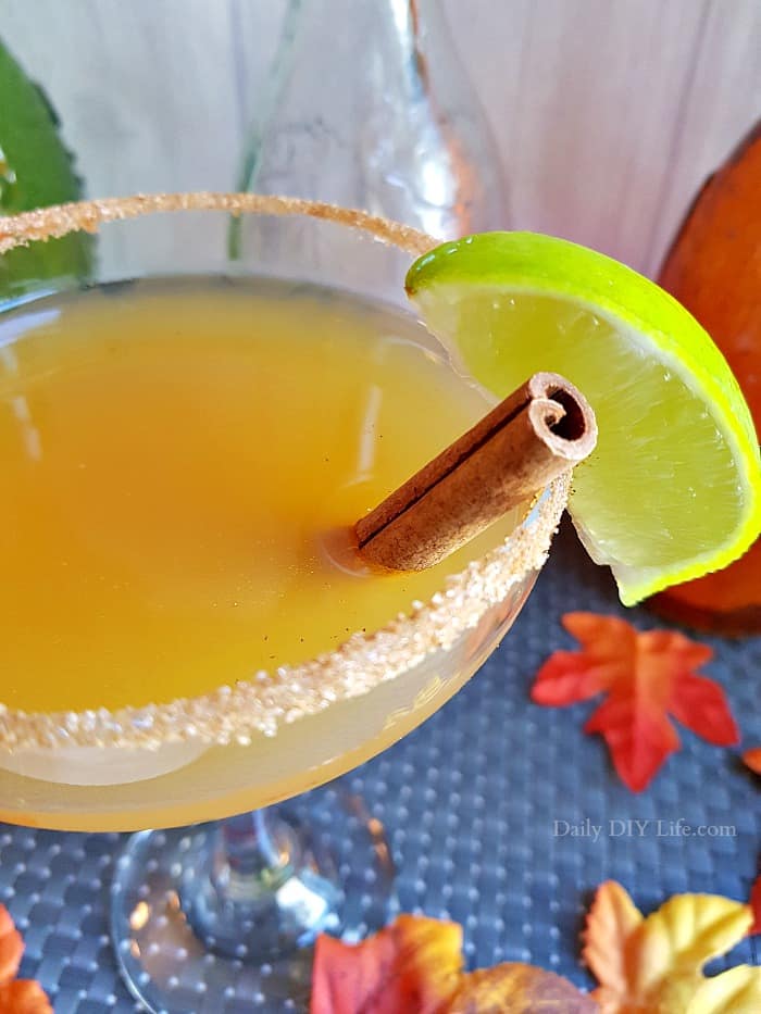 This Apple Cider Margarita is the perfect fall twist on a classic cocktail. Crisp and refreshing fresh apple cider, paired with the unique flavor of tequila is a match made in heaven. #Cocktails #Tequila #FallCocktails #Margarita #AdultBeverages #AppleCider