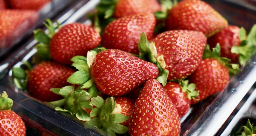 washed strawberries - korean strawberry milk