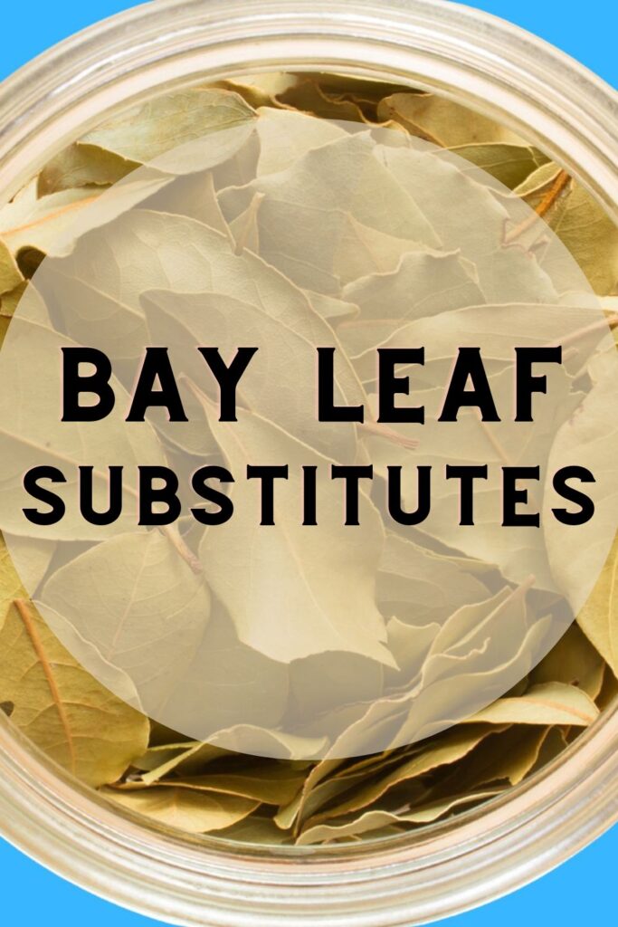 Bay-Leaf-Substitutes-pinterest-pin