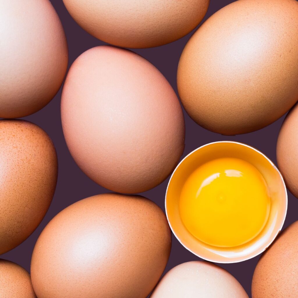 close up of different types of eggs cracked 