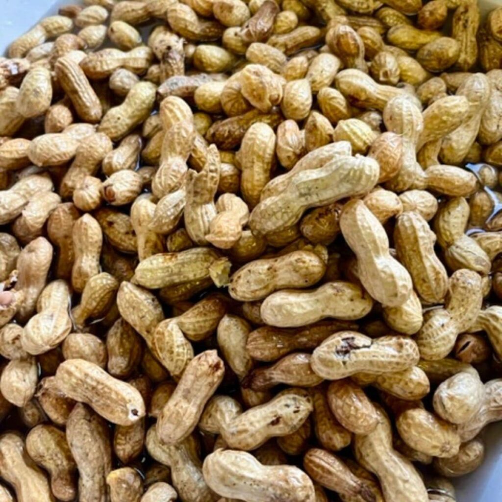 pile-of-raw-peanuts-soaking-in-water