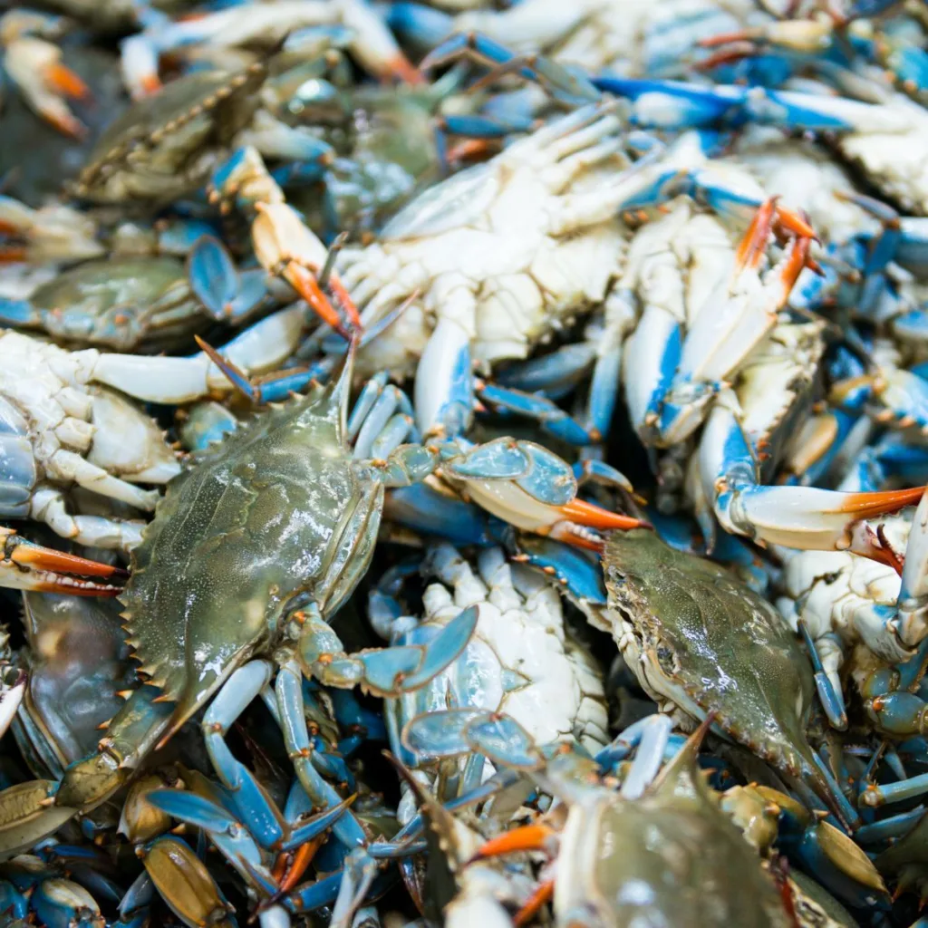 bushell of blue crabs