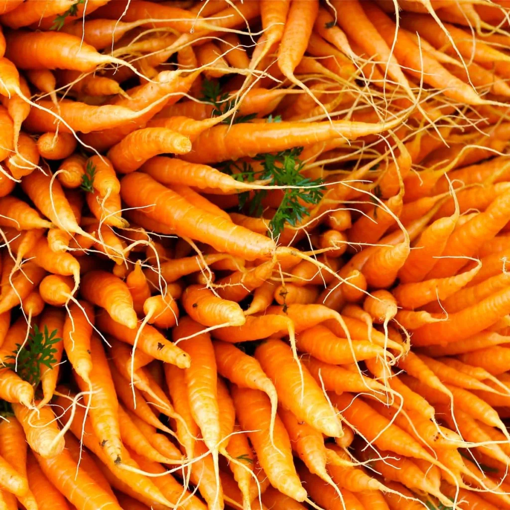 stacked carrots
