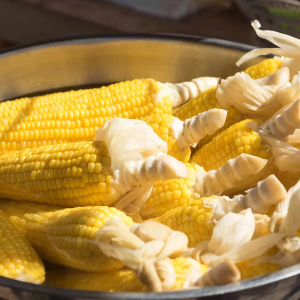 ears of corn boiling in large pot