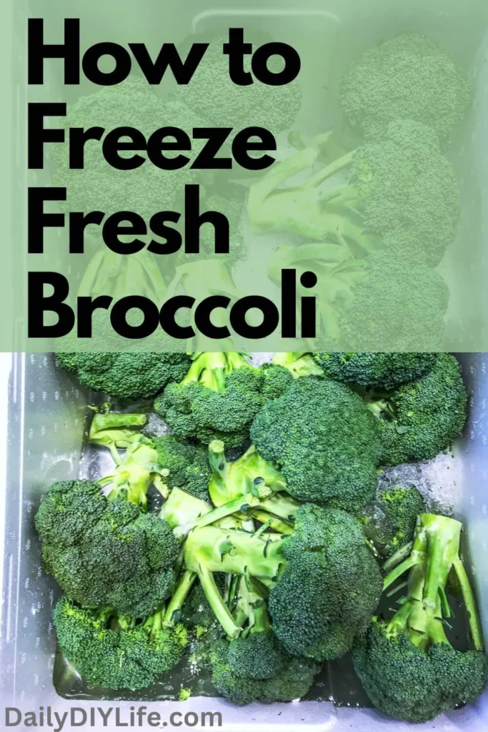 how-to-freeze-fresh-broccoli-pinterest-pin