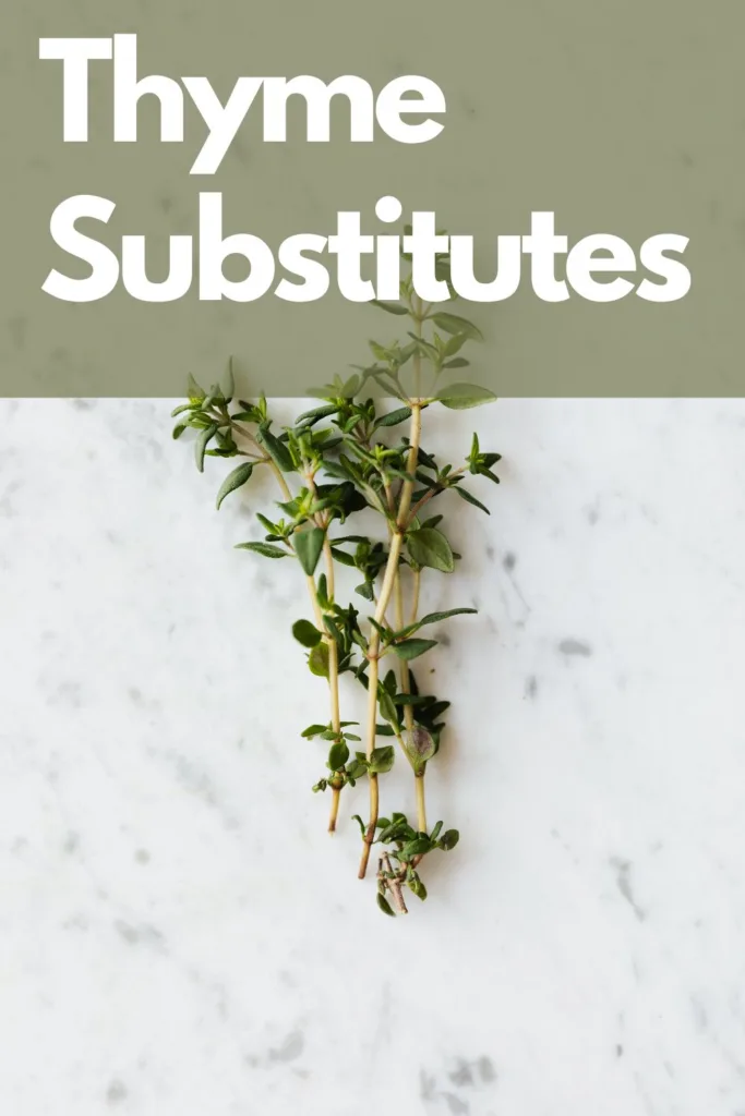 thyme substitutes - pinterest pin