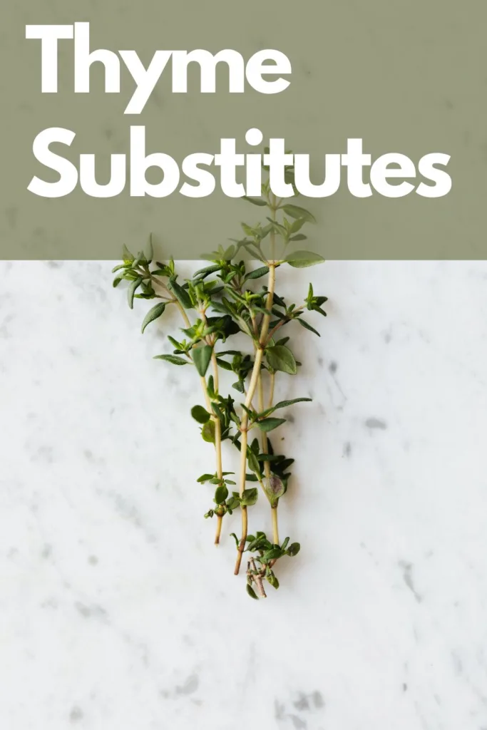 7 Best Thyme Substitute