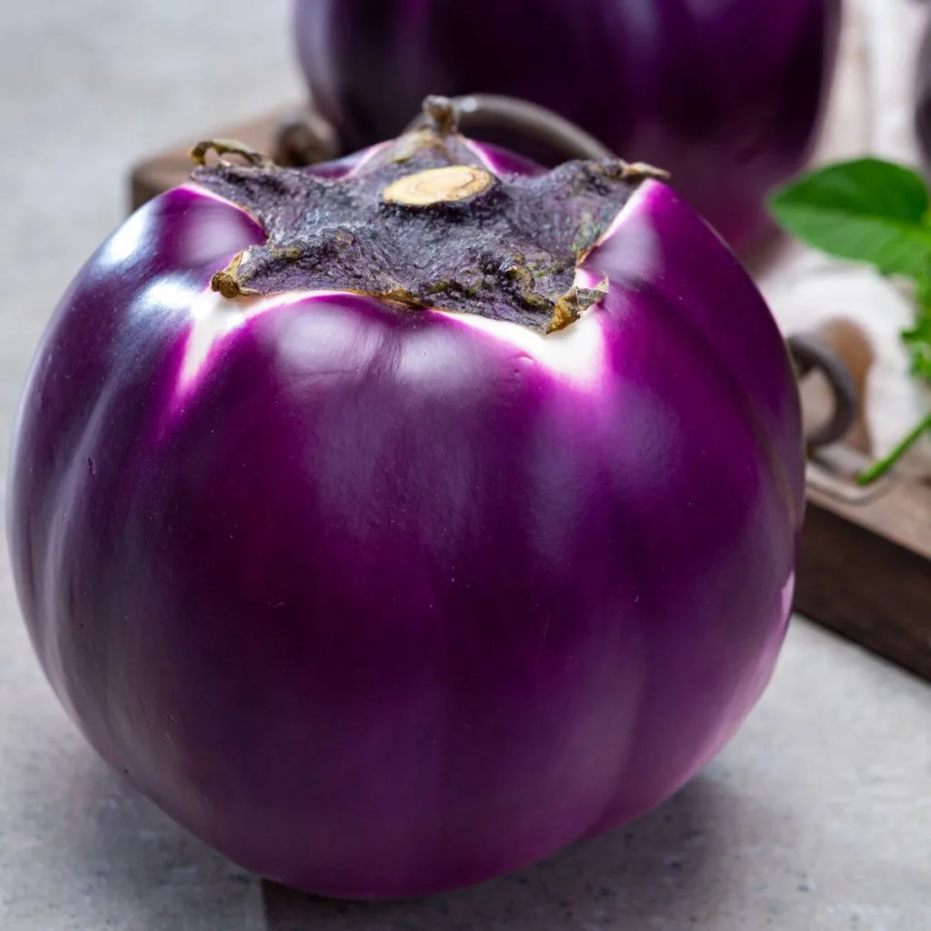 globe eggplant