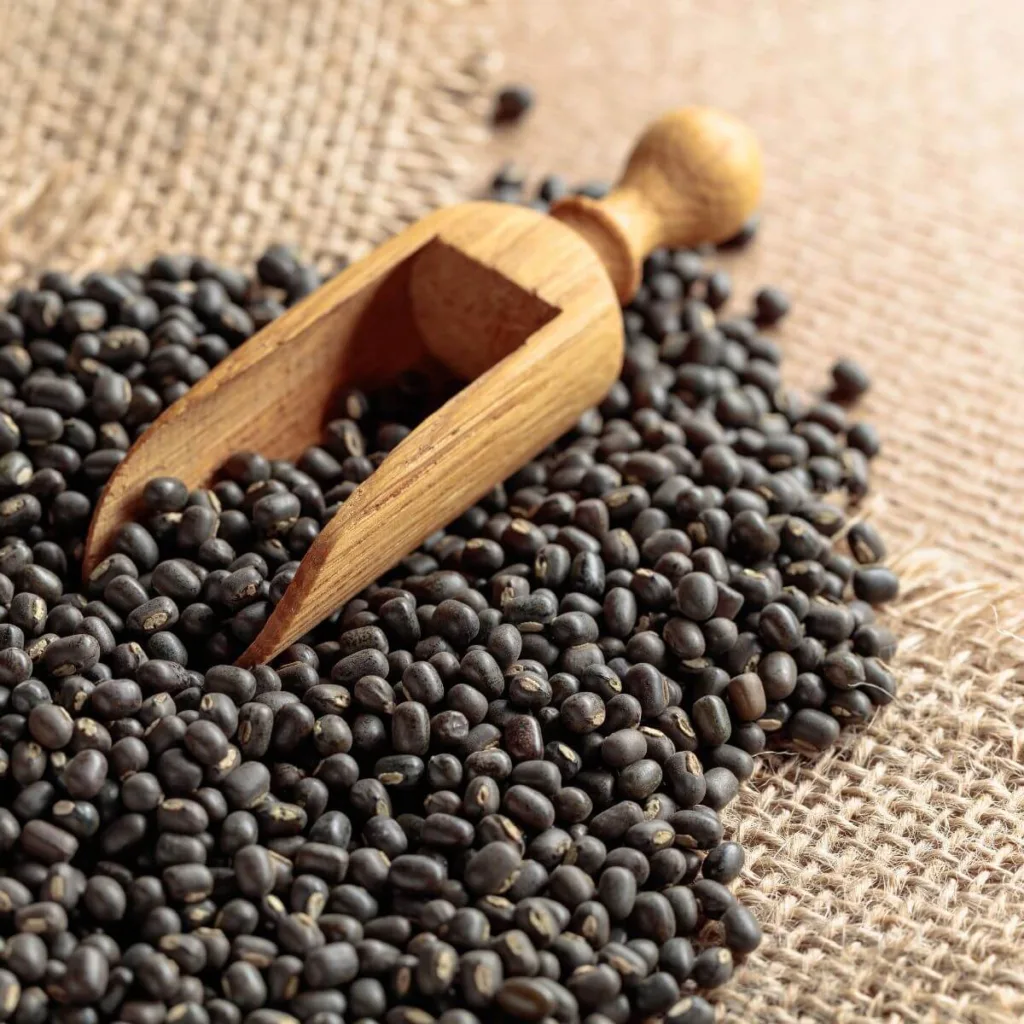 a pile of black lentils on a burlap background