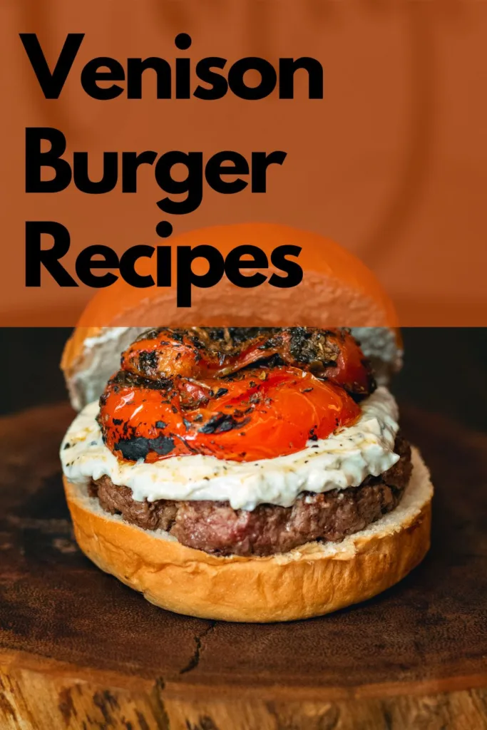 venison burger recipes - pinterest pin