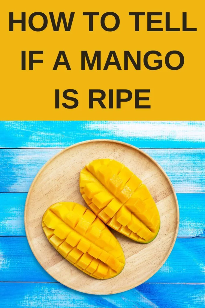 how to tell if a mango is ripe - pinterest pin