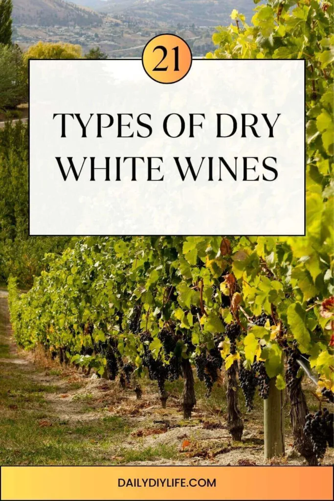 types of dry white wine - pinterest pin