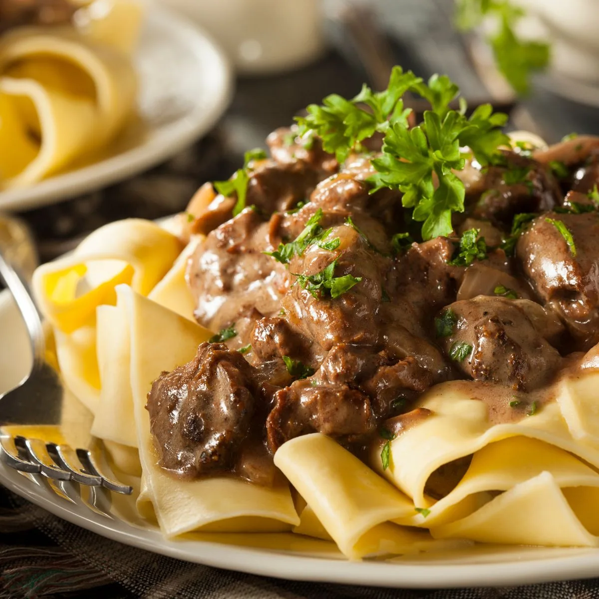 close up of leftover beef stroganoff recipe with noodles